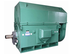 YR5004-6/630KWY系列6KV高压电机