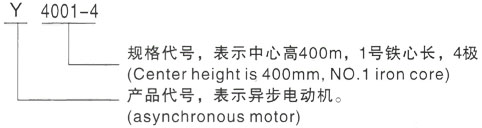 西安泰富西玛Y系列(H355-1000)高压YR5004-6/630KW三相异步电机型号说明